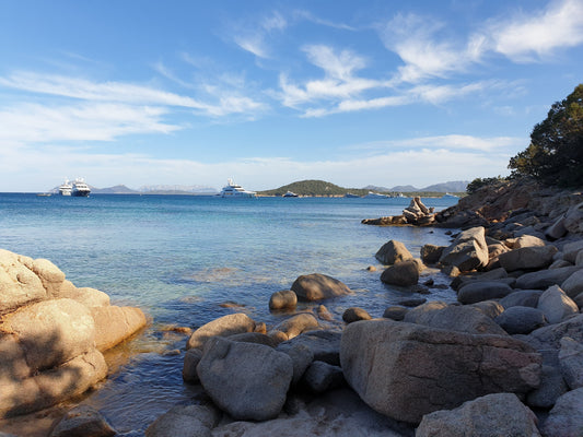The Colours of the Coast
